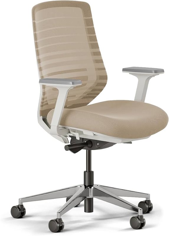 Branch Ergonomic Chair