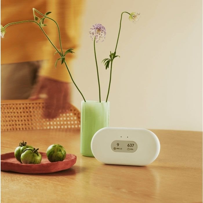 Airthings View Plus Monitor